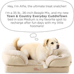 Town & Country Everyday CuddleTown Comfy Solid Bolster Sofa Pet Bed, Supportive & Calming Egg Crate Foam, Non-Slip Bottom, Machine Washable Cover, Cream, Medium 28"x23"x8"