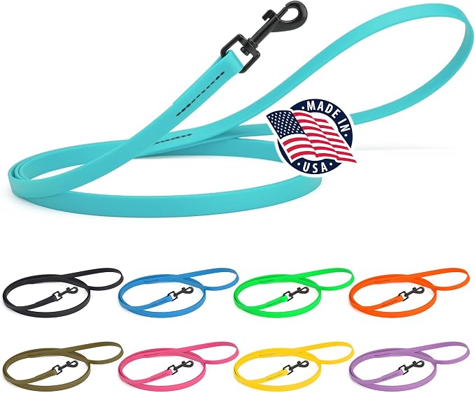 Dogline Biothane Waterproof Dog Leash Strong Coated Nylon Webbing with Black Hardware Odor-Proof Easy to Clean High Performance for Small or Large Dogs Made in USA 4 or 6 ft Lead, Sky Blue