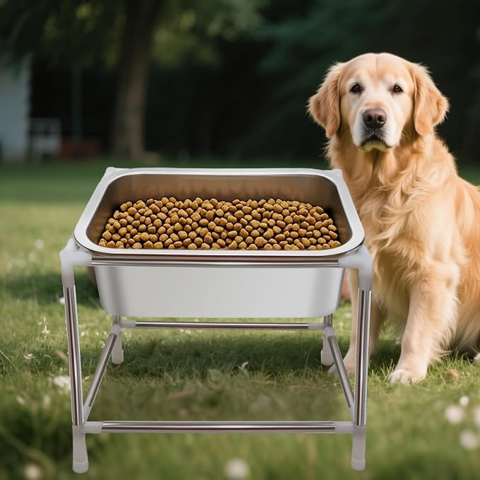 1.5 Gals 2 Sets Raised Dog Water Bowl Large Sized Dog Elevated Dogs Food and Water Bowl with Stand for Medium to Large Breeds Stainless Steel Indoor Outdoor Pets Feed Waterer Station (2 Sets)