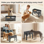 URPOWER Mess Proof Elevated Dog Bowls for Small Dogs with Splash Guard | 4 Height Adjustable Raised Stand with 2 Stainless Steel Food Bowls & Licking Plate for Small, Medium & Large Dogs