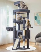 Taoqimiao Cat Tree for Large Cats, 72In Tall Cat Tower, Giant Platform | Widened Cat Condo with Large Scratch Board, 5 Scratching Posts, Metal Frame Hammcock, Cozy Basket, Smoky Gray, MS045G