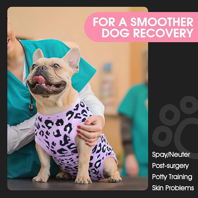 FUAMEY Dog Recovery Suit, Soft Surgical Suit for Dogs Onesie for Surgery | Cone Alternative after Surgery, Abdominal Wound Protector, Anti Lick Suit, Dog Onesie for Surgery Female Purple Leopard L