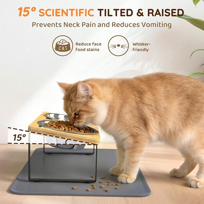 Elevated Cat Food Bowls with Mat, 2 Stainless Steel Raised Cat Food and Water Bowls, 15 Tilted Stand Anti Vomitting, Whisker Fatigue, Dishwasher Safe Cat Bowl