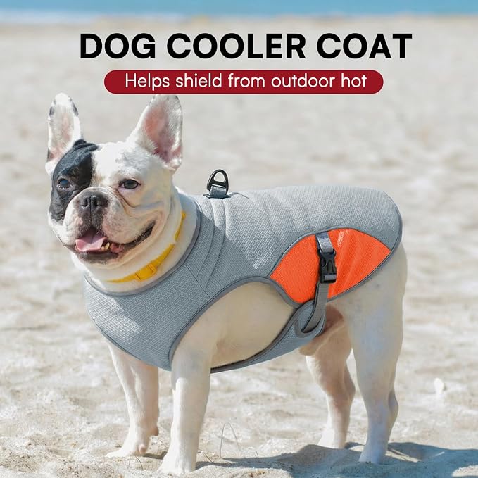 Dog Cooler Vest for Extra Large Dogs, Dog Mesh Cooling Jacket with Reflective Stripe and D Ring, Pet Cooling Vest for Beach, Hiking, Walking, Orange-2XL