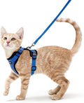 rabbitgoo Cat Harness and Leash Set, Escape Proof Vest, Navy Blue | Soft Breathable Mesh, Easy Adjustable Fit, Snap Buckles, Sturdy Clip, Reflective Strips, for Small & Average Cats Walks, Xs
