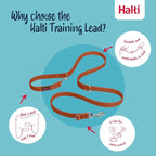 Halti Training Dog Leash | Size Small, Burnt Orange, 2m | No-Pull Double-Ended Dog Leash | Light, Soft & Durable | Ideal for Obedience Training & Everyday Walks with Dogs & Puppies
