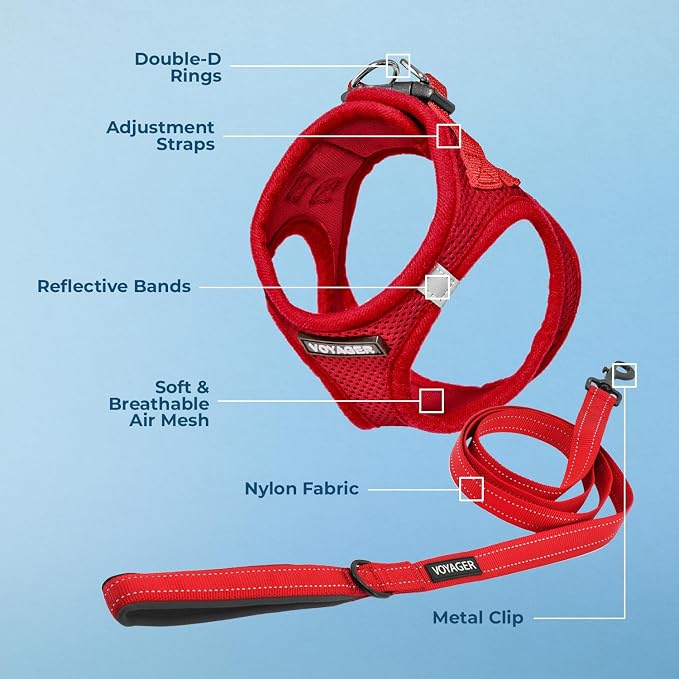 Best Pet Supplies Voyager Step-in Air All Weather Mesh Harness and Reflective Dog 5ft Leash Combo with Neoprene Handle, for Small, Medium and Large Breed Puppies - Red, X-Large