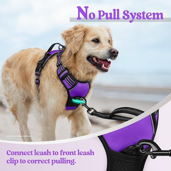 rabbitgoo Dog Harness, No Pull Medium Sized with 2 Leash Clips, Pet Vest | No Choke with Handle, Adjustable Soft Padded, Reflective, Easy Control for Walking, Purple, Medium