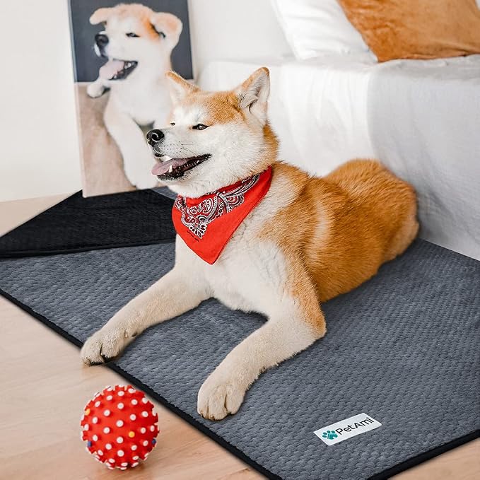 PetAmi Waterproof Dog Blanket, Leakproof Pet Blanket, Twin 60x80 Black Gray | XL for Large Dogs, Furniture Sofa Couch Cover Protector, Fleece Cat Throw Bed Crate Kennel, Reversible Washable Soft Plush