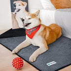 PetAmi Waterproof Dog Blanket, Leakproof Puppy Blanket, 40x60 Black Gray | For Medium Large Pets, Furniture Sofa Couch Cover Protector, Fleece Throw Indoor Cat Kitten, Reversible Washable Soft Plush