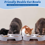 Sliner 7 Pcs Kitten Litter Box Starter Kit, 2 Plastic Small Kitty Litter Box Training Low Entry with Scoop, 2 Double Cat Bowl and Mat for Kitten Indoor(Blue)