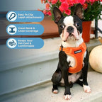 Voyager Step-in Flex Adjustable Dog Harness - Orange, X-Small | 13 - 16" in Chest, Fully Adjustable, Reflective Bands, All Weather Breathable Air Mesh, Lightweight, Fast Drying