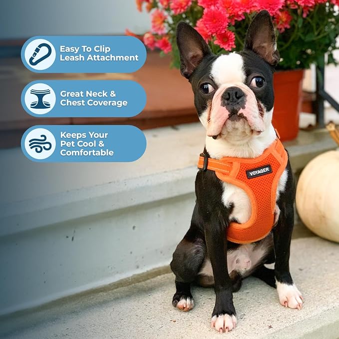 Voyager Step-in Flex Adjustable Dog Harness - Orange, X-Small | 13 - 16" in Chest, Fully Adjustable, Reflective Bands, All Weather Breathable Air Mesh, Lightweight, Fast Drying