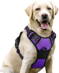 rabbitgoo Dog Harness, No-Pull Pet Harness with 2 Leash Clips, Adjustable Soft Padded Dog Vest, Reflective No-Choke Pet Oxford Vest with Easy Control Handle for Large Dogs, Purple, L | No Choke with Handle, Adjustable Soft Padded, Reflective, Easy Cont...