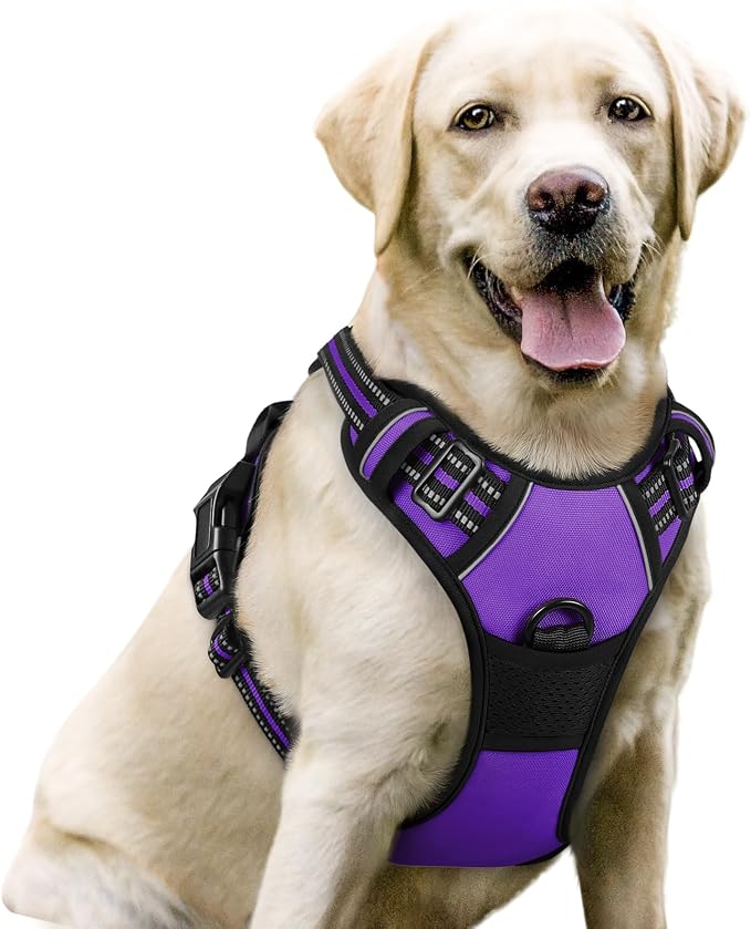 rabbitgoo Dog Harness, No-Pull Pet Harness with 2 Leash Clips, Adjustable Soft Padded Dog Vest, Reflective No-Choke Pet Oxford Vest with Easy Control Handle for Large Dogs, Purple, L | No Choke with Handle, Adjustable Soft Padded, Reflective, Easy Cont...