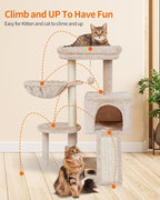 Cute Cat Tree Kitten Cat Tower Condo Furniture Scratching Posts Hammock B | FISH&NAP For Indoor with Jump Platform Activity Center Beige