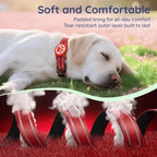 Airtag Dog Collar, Reflective Ultra-Durable Nylon Padded with QR Buckle & IP68 Waterproof Air Tag Holder Compatible for Apple AirTag, Comfortable for Small Medium Large Dogs (Red, XS)