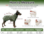 Skmeditec Dog Raincoat with Hood, Waterproof Puppy Rain Coat, Windproof Breathable Jacket with Mesh Lining, Outdoor Hiking Shell Coat for Small Medium Large Sized Dogs (Green, XL)