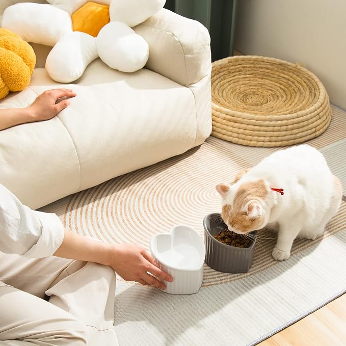 5.5 in Ceramic Raised Tilted Cat Food Bowls 2 Pack | Elevated, Love Heart Shape, Slanted, Stress Free, Feeding Dishes, Protect Pet's Spine, Reduce Neck Burden, White&Grey