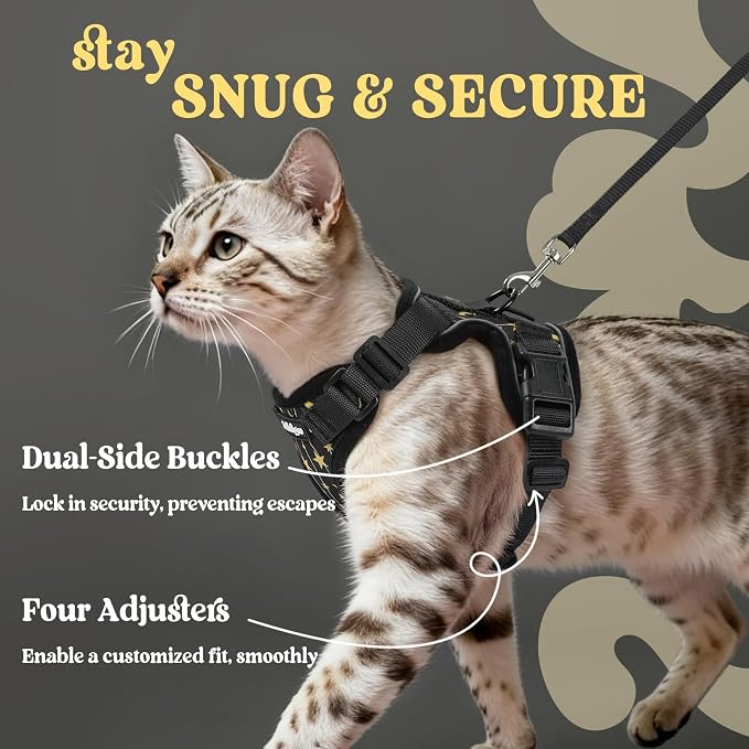 rabbitgoo Cat Harness and Leash Set, Escape Proof Vest, Lunar Prowl | Soft Breathable Mesh, Easy Adjustable Fit, Snap Buckles, Sturdy Clip, Reflective Strips, for Small & Average Cats Walks, Xs