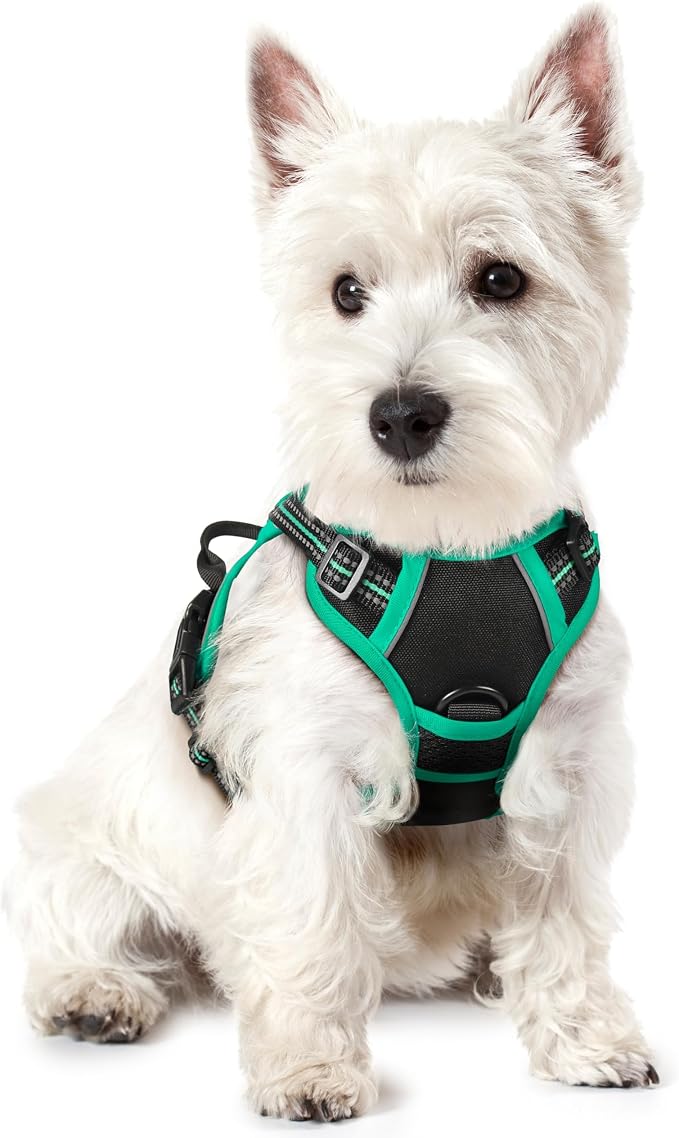 rabbitgoo Dog Harness, No Pull for Small Dogs with 2 Leash Clips, Pet Vest | No Choke with Handle, Adjustable Soft Padded, Reflective, Easy Control for Walking, Black & Turquoise, X-Small
