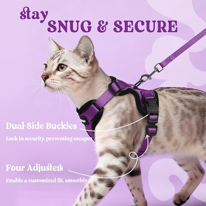 rabbitgoo Cat Harness and Leash Set, Escape Proof Vest, Purple | Soft Breathable Mesh, Easy Adjustable Fit, Snap Buckles, Sturdy Clip, Reflective Strips, for Small & Average Cats Walks, Xs
