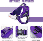 AUROTH Dog Harness and Leash Set, Soft Padded Service Dog Vest with 5.25FT Dog Leash, No Choke, Easy On Pet Vest, Adjustable Reflective No Pull Dog Harness for Large Dogs, Easy Walking and Training
