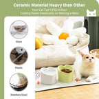 5.5 in Green Ceramic Raised Tilted Cat Food Bowl 1 Pack | Elevated, Love Heart Shape, Slanted, Pet Feeding Dish, Stress Free, Kitty, Small Cats, Protect Pet's Spine