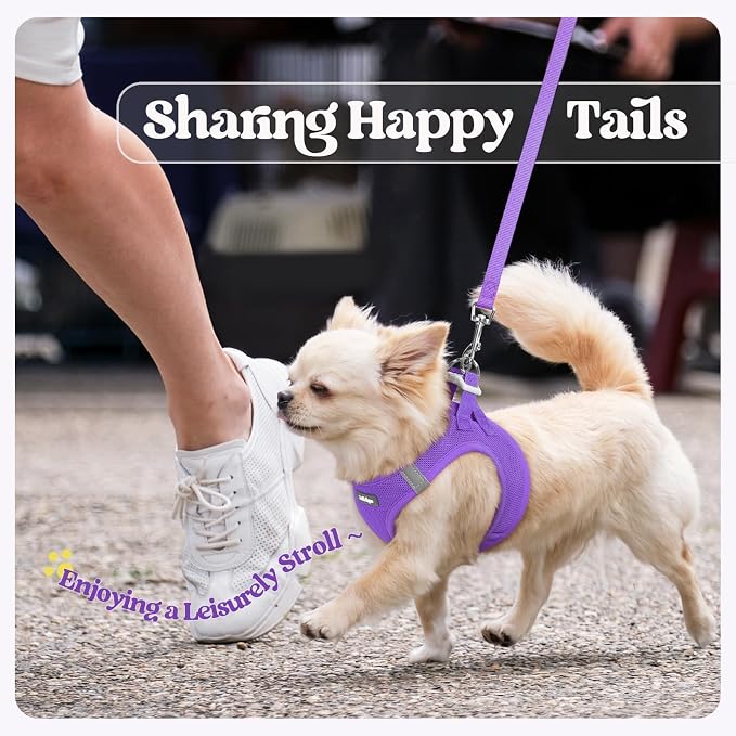 rabbitgoo Dog Harness Medium Sized and Leash Set, Step-in Puppy Pet Vest | Light, Soft, Breathable Air Mesh, Easy on and Remove with Hook & Loop, Secure Reflective for Walking, Purple XL