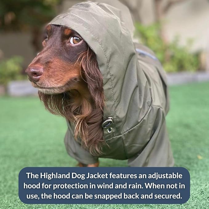 DJANGO Highland Dog Jacket & Raincoat – Water-Repellent, Lined Dog Coat with Hood, Adjustable Fit & Harness Hole – Lightweight Rain & Wind Jacket for Small & Medium Dogs up to 30 lbs (Yellow, X-Small)