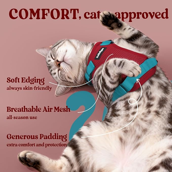 rabbitgoo Cat Harness and Leash Set, Escape Proof Vest, Red & Teal | Soft Breathable Mesh, Easy Adjustable Fit, Snap Buckles, Sturdy Clip, Reflective Strips, for Medium to Large Cats Walks, M
