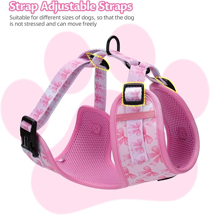 Small Dog Harness and Leash Set of 6, No Pull Soft Lightweight Mesh Puppy Harness, Adjustable Cute Floral Pattern Pet Harness for Small Medium Dogs (Pink Bow, M)