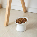 Elevated Cat Bowls, 15° Tilted Ceramic Raised Cat Food and Water Bowl Set, Whisker-Friendly Porcelain Pet Feeder Dishes for Indoor Cats and Small Dogs,White,5.2 Inch,1 Pack