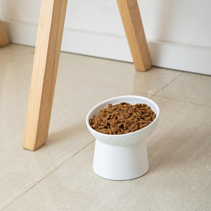 Elevated Cat Bowls, 15° Tilted Ceramic Raised Cat Food and Water Bowl Set, Whisker-Friendly Porcelain Pet Feeder Dishes for Indoor Cats and Small Dogs,White,5.2 Inch,1 Pack