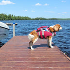 Kuoser Reflective Dog Life Jacket, Dog Life Vest for Swimming Boating | Adjustable Pet Lifejackets, High Flotation Doggie Swimsuit with Rescue Handle for Small Medium Large Dogs