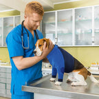 Lelepet Dog Recovery Suit for Front Legs, Dog Sleeve to Stop Licking Blue | Elbow Protector for Leg Injuries Shoulder Wounds After Surgery Male Female,Zippered Long-Sleeved Shirt Cone Alternative S-3XL