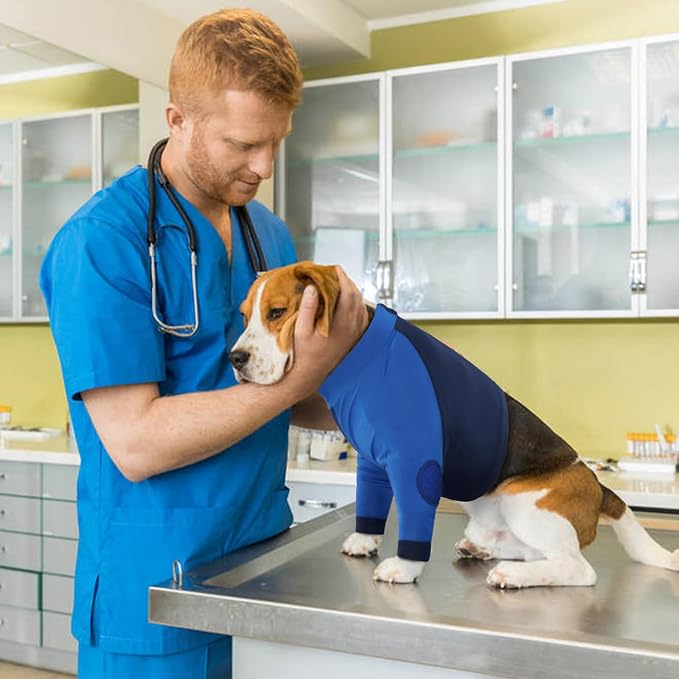 Lelepet Dog Recovery Suit for Front Legs, Dog Sleeve to Stop Licking Blue | Elbow Protector for Leg Injuries Shoulder Wounds After Surgery Male Female,Zippered Long-Sleeved Shirt Cone Alternative S-3XL