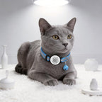Smart QR Code Cat Collar 2-Pack, Breakaway Reflective Collar with Permanent Online Profile, Adjustable 7.5-12.5 Inch Safety Collar for Cats (Orang & Blue)