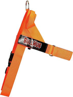BULLHUG Adjustable Dog Harness– No Pull, No Choke – for English Bulldogs, French Bulldogs, Pugs & Broad-Chested Breeds – Easy, Safe Walks (NEON Orange, Small)