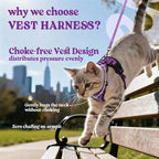 rabbitgoo Cat Harness and Leash Set, Escape Proof Vest, Purple | Soft Breathable Mesh, Easy Adjustable Fit, Snap Buckles, Sturdy Clip, Reflective Strips, for Small & Average Cats Walks, Xs