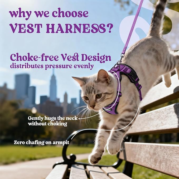 rabbitgoo Cat Harness and Leash Set, Escape Proof Vest, Purple | Soft Breathable Mesh, Easy Adjustable Fit, Snap Buckles, Sturdy Clip, Reflective Strips, for Small & Average Cats Walks, Xs