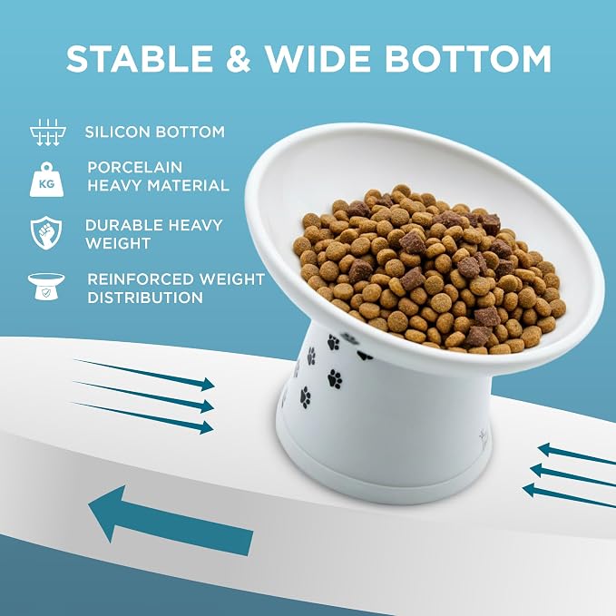 Necoichi Ceramic Elevated Cat Food Bowl, 15° Tilted (Cat, Extra Wide Tilted)