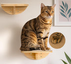 Cat Wall Shelves with Sisal Mat, Cat Wall Furniture Steps for All Breeds | Wooden Cat Wall Shelves with Sisal Mat, 2 Floating Wall Steps, Cat Wall Furniture Steps, Perfect for Climbing and Playing
