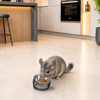 Felli Oblik 15° Tilted Small Animal Bowls for Pet Food & Water 6 oz Stainless Steel Dish Removable, Slanted Metal Plate Feeder for Kitten Puppy Rabbit Bunny Guinchilla Pig (0.75 Cups, Smoky)