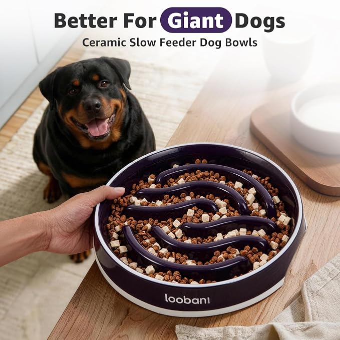 LOOBANI 4.5 Cups Ceramic Slow Feeder Dog Bowls Giant Dogs with Grip Handles | Heavy Ceramic, Stay in Place, Healthier Eating, Durable & Easy-Clean, Foam-Protected, Perfect for Fast-Eating Large Breeds
