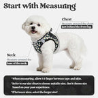 rabbitgoo Dog Harness Small Sized and Leash Set, Step-in Puppy Pet Vest | Light, Soft, Breathable Air Mesh, Easy on and Remove with Hook & Loop, Secure Reflective for Walking, Midnight Daisy XS