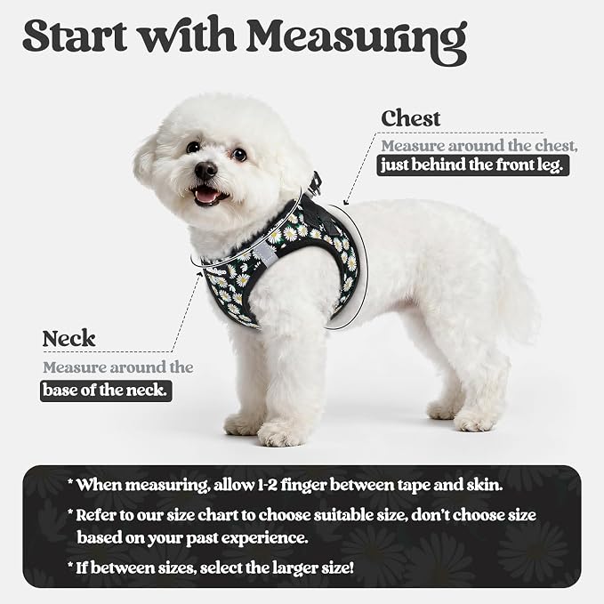 rabbitgoo Dog Harness Small Sized and Leash Set, Step-in Puppy Pet Vest | Light, Soft, Breathable Air Mesh, Easy on and Remove with Hook & Loop, Secure Reflective for Walking, Midnight Daisy XS