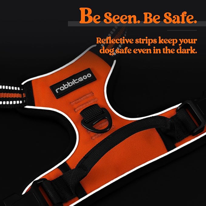 rabbitgoo Dog Harness, No Pull for Large Dogs with 2 Leash Clips, Pet Vest | No Choke with Handle, Adjustable Soft Padded, Reflective, Easy Control for Walking, Orange, X-Large