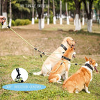 3 Dog Leash - Padded Handle, 360° Swivel Multiple Dog Leash No Tangle, Lead for Medium Large Dogs, Walking & Training Double Dogs (Green Blue)