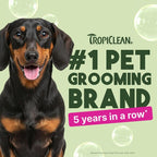 TropiClean Deodorizing Dog Shampoo for Smelly Pets, Professional Dog Shampoo, Long Lasting Odor Control, Puppy Safe, USA Made, Berry Scent, 1 Gal
